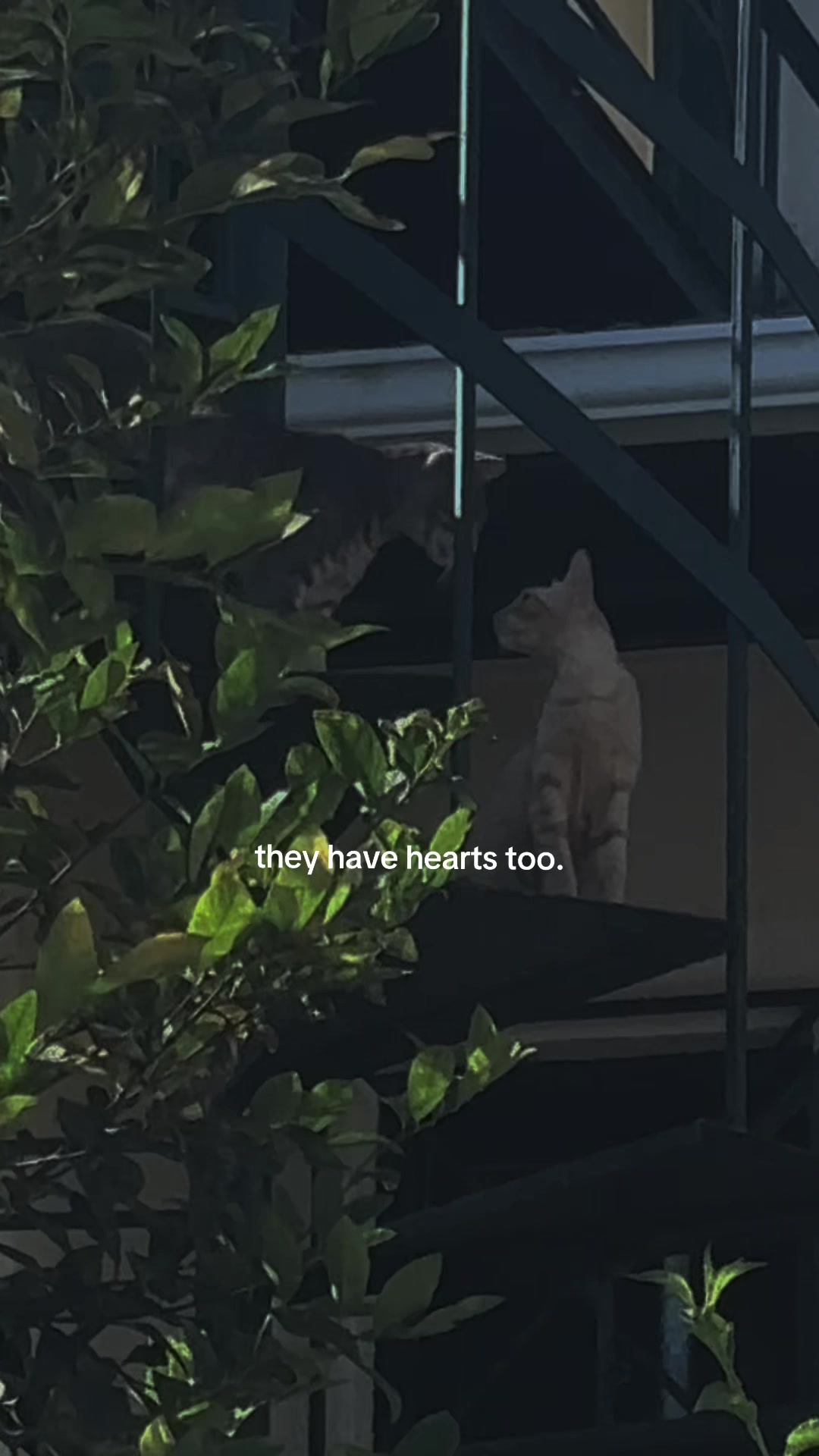 @SoulLines<3