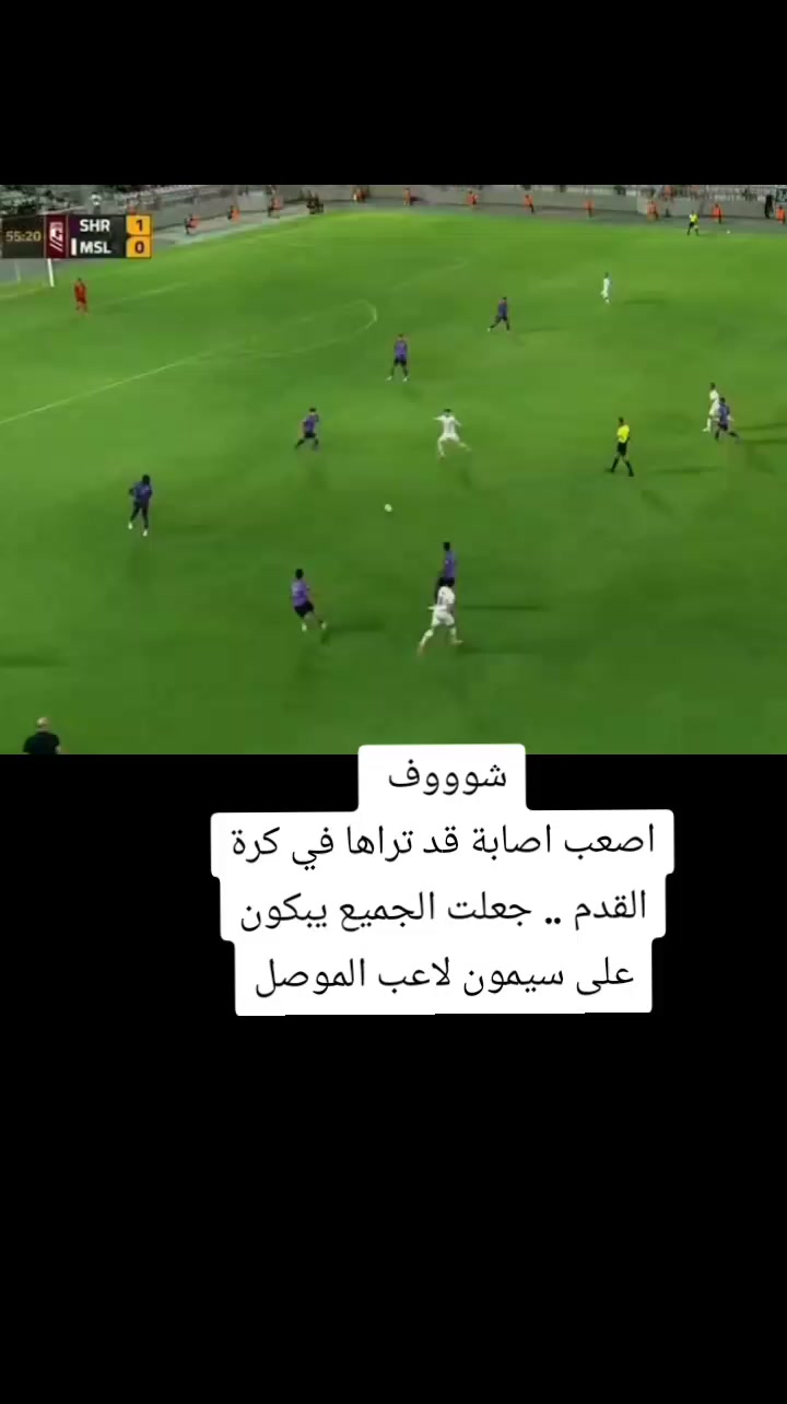 @ملعب البصرة جذع نخلة