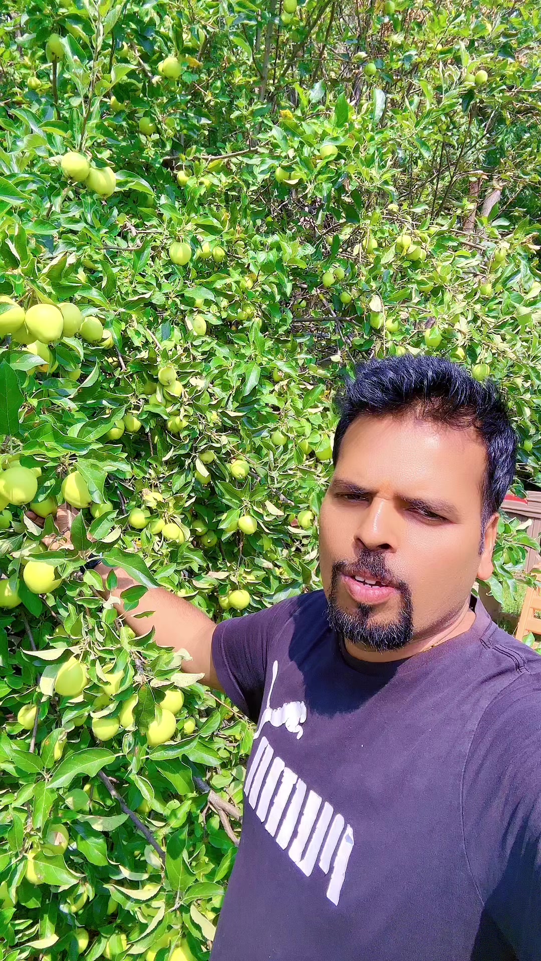 @a.rmani05