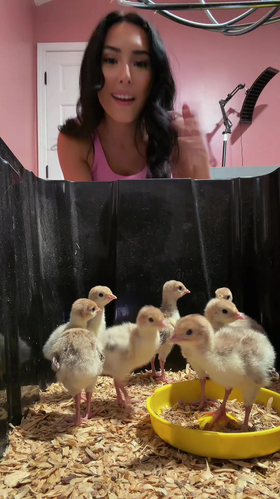 @Elina Sae Howard
