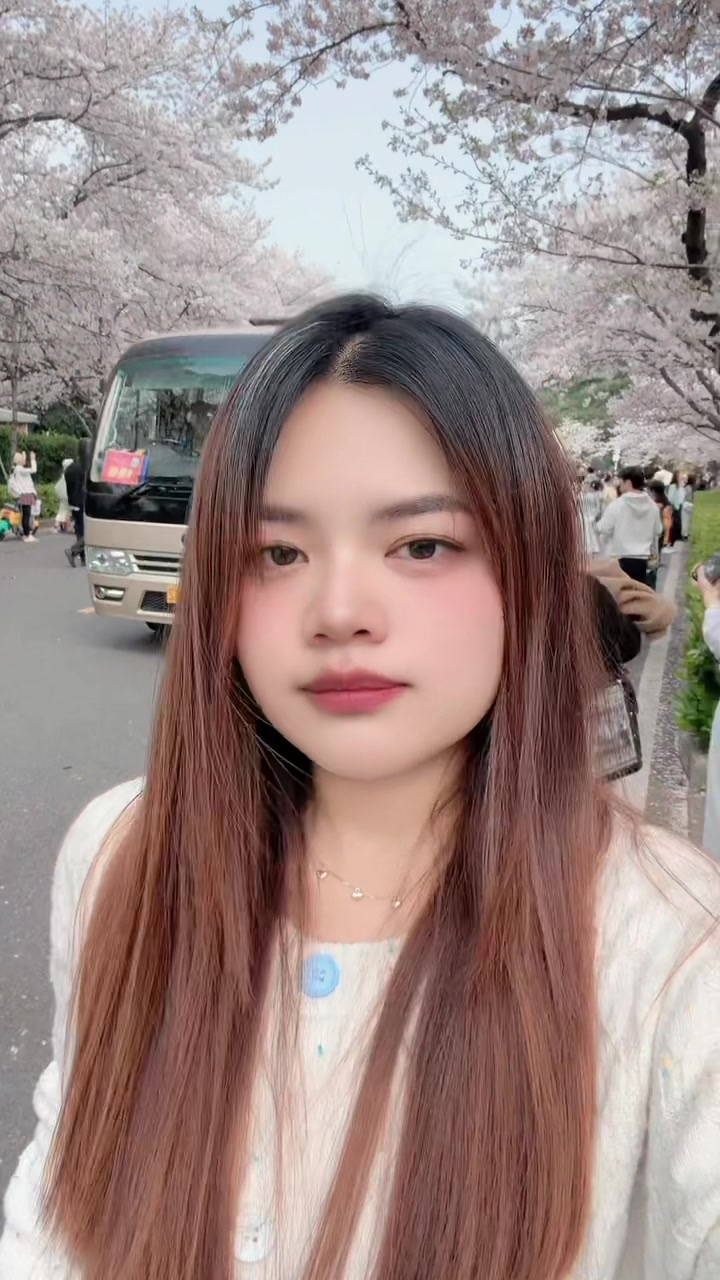 @公主 ✨