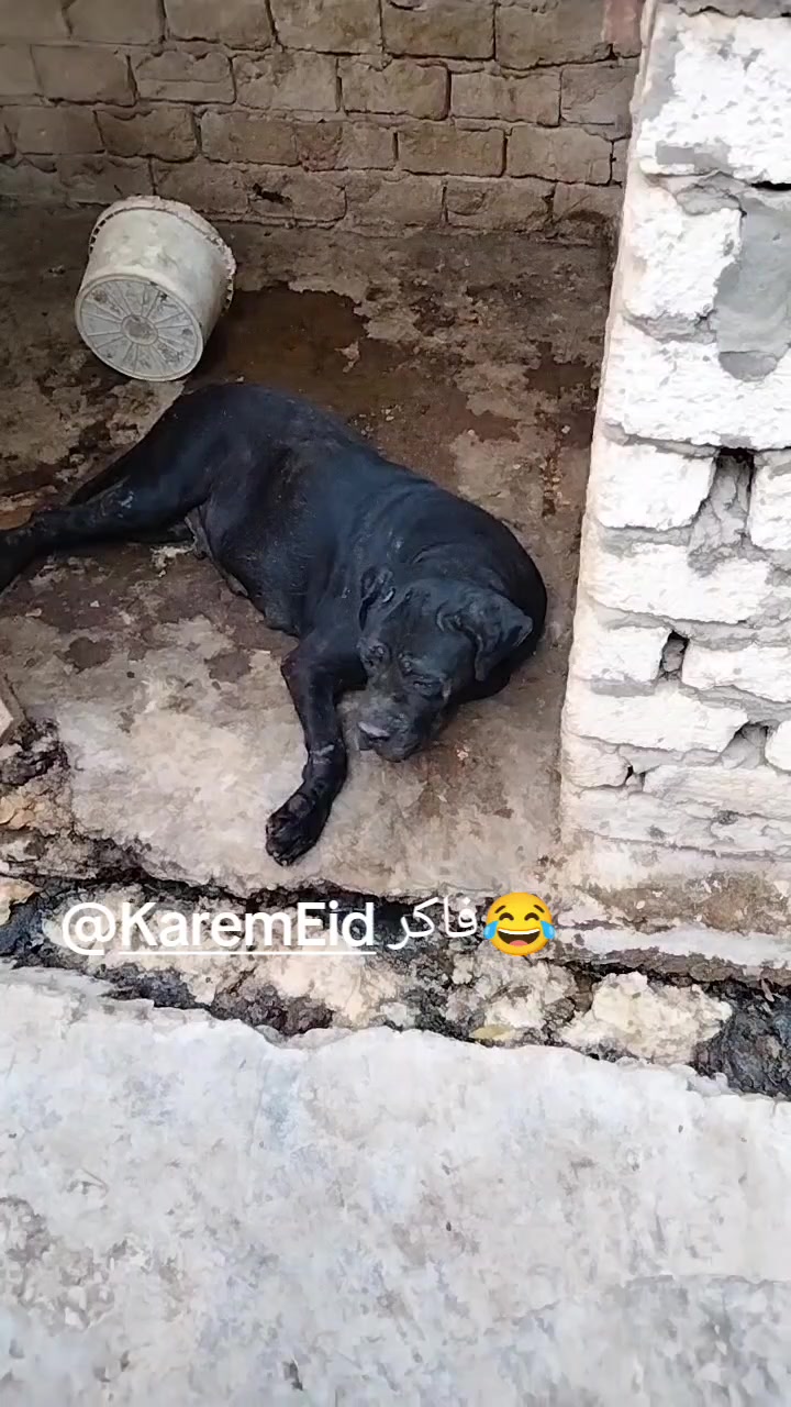 @&Scaron;&AElig;ĮF&Euml;LD&Scaron;&Oslash;&Oslash;K&Yuml;