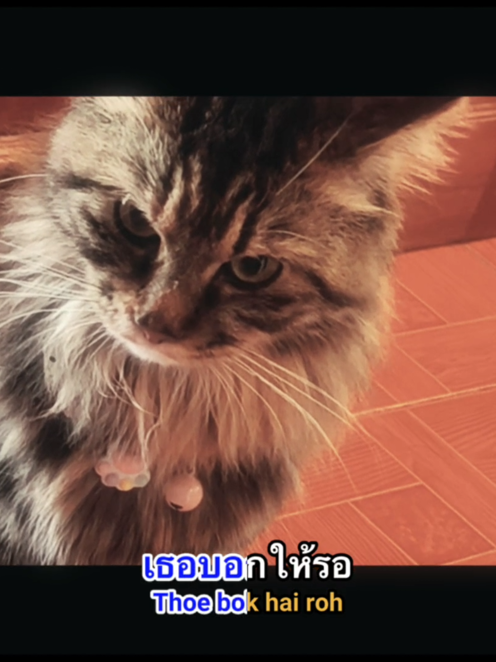 @ตออ อ‘ต้อ