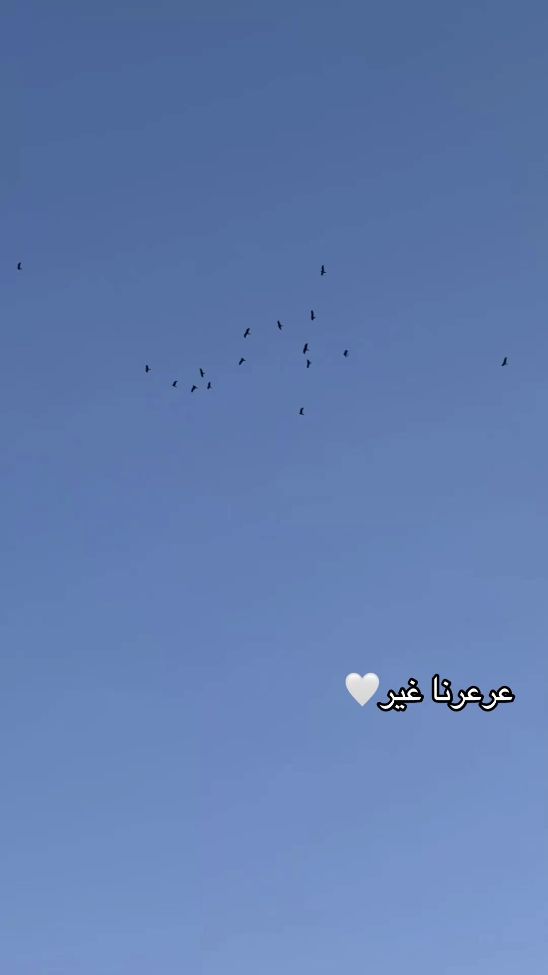 @ويـلان 📸