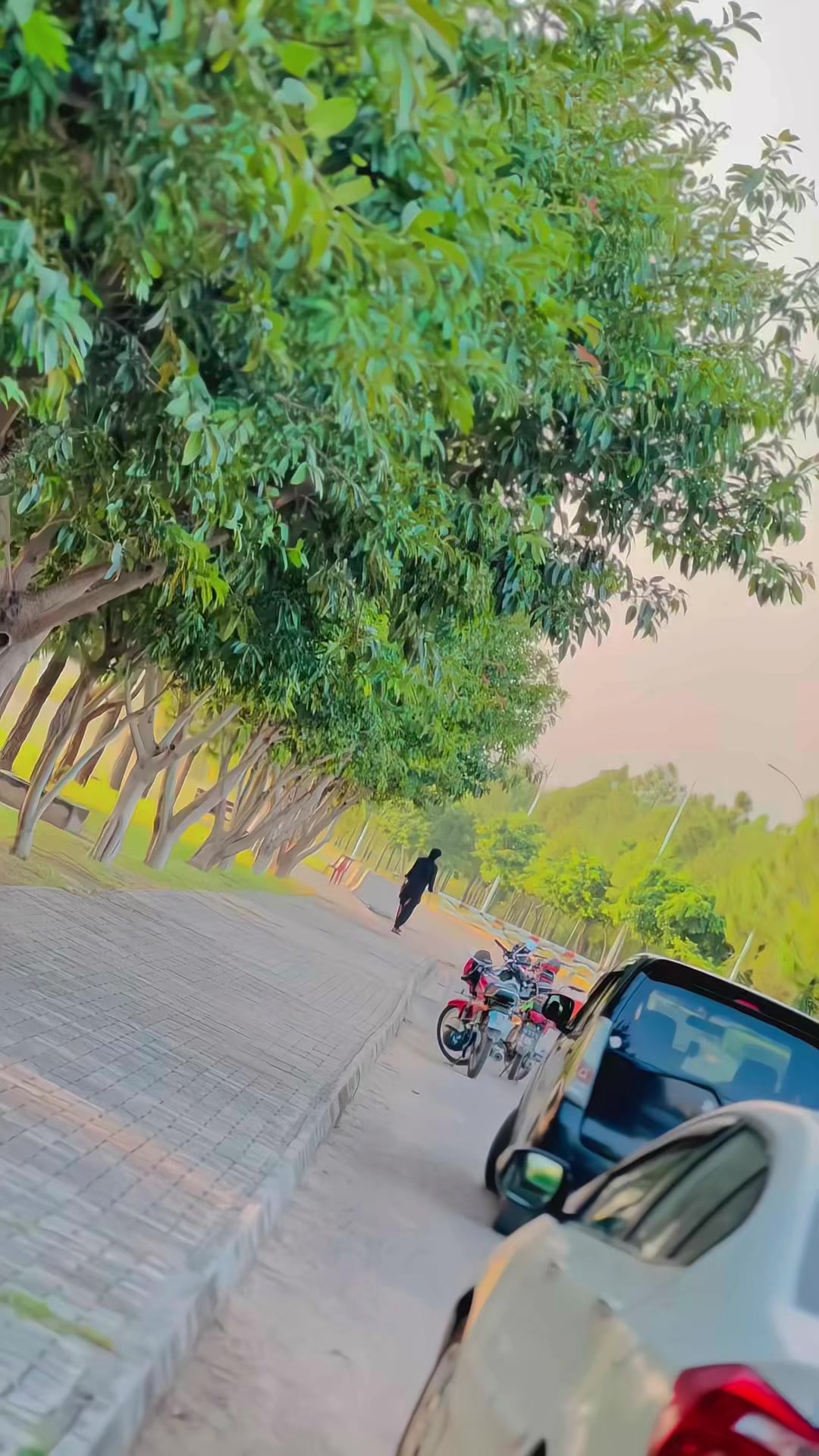 @WaقaS JaNii❤️