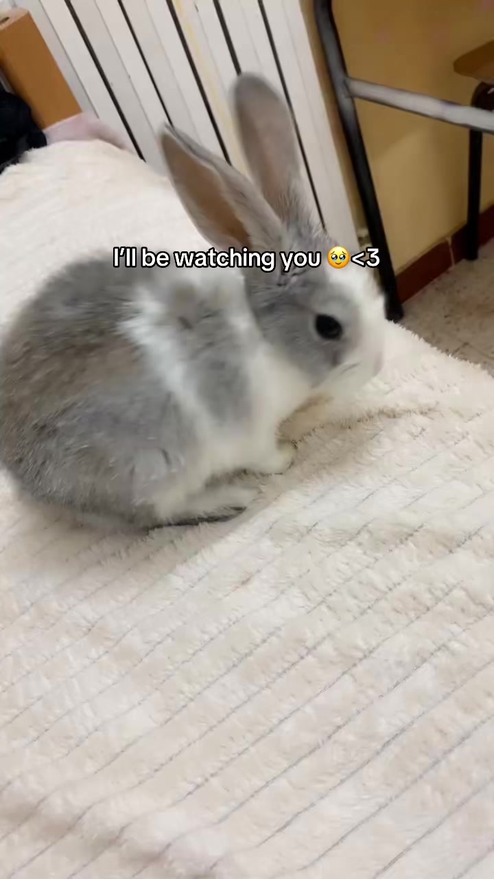 @Хадйл