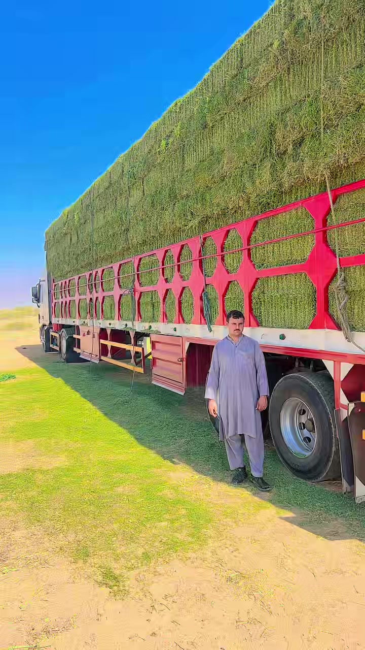 @Rafi Ullah