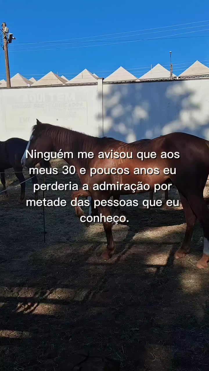 @🔥CHRIS VELLOSO🌑