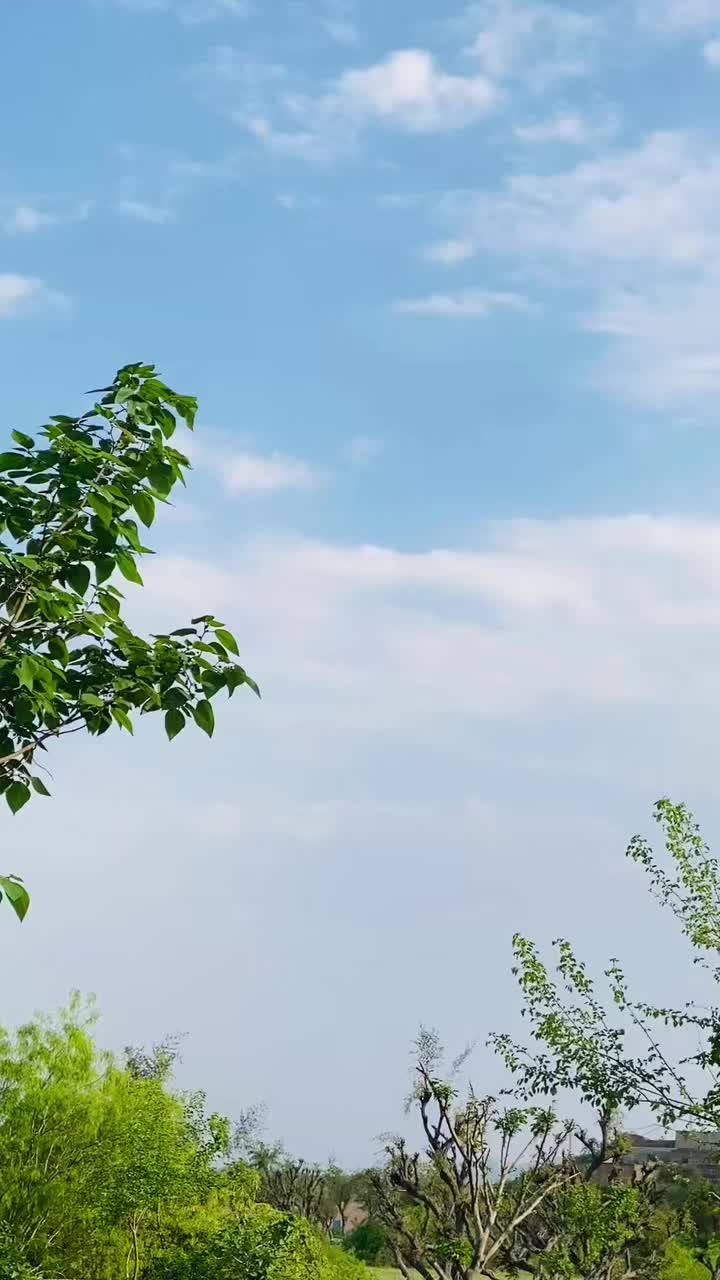 @شایان آفریدی 🌹🌹،🇵🇰🇵🇰