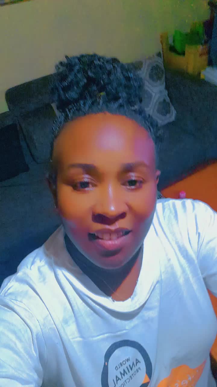 @elizachege