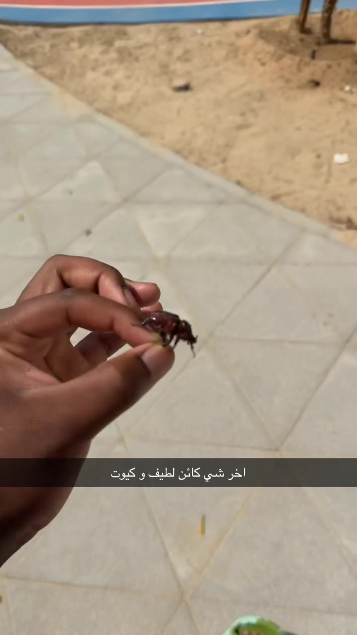 @َ