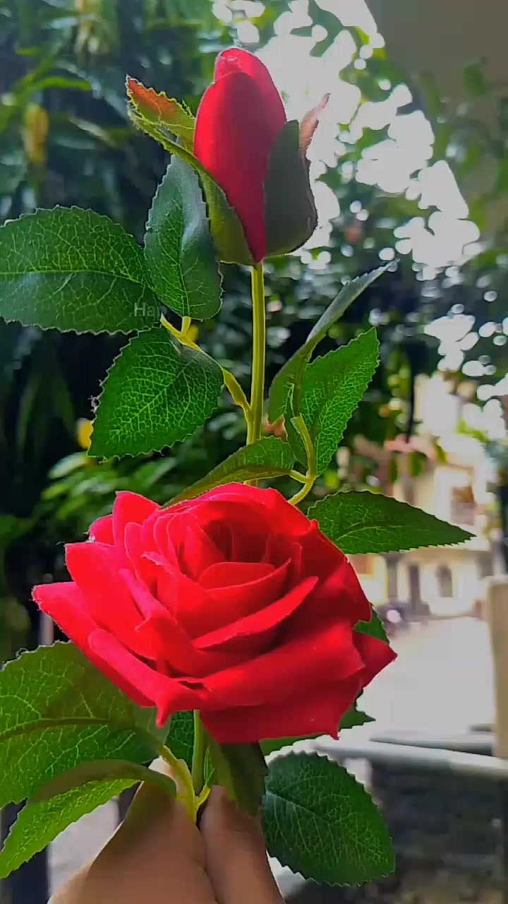 @𝐌𝐫.𝐀𝐧𝐣𝐚𝐧💝🍀