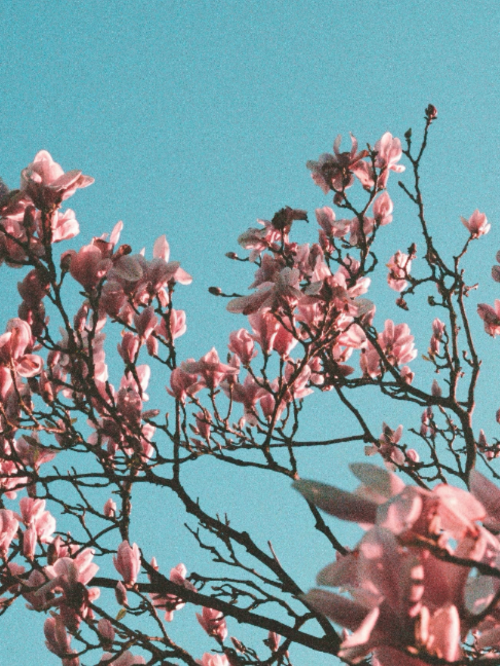@theyearning.archive