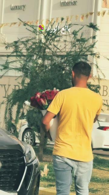 @Hussein Alaa