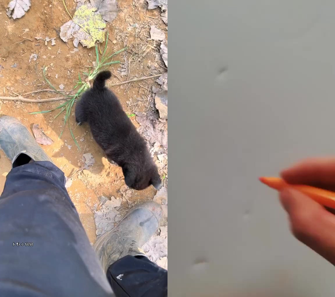 @Tầng trao đổi ưu tú