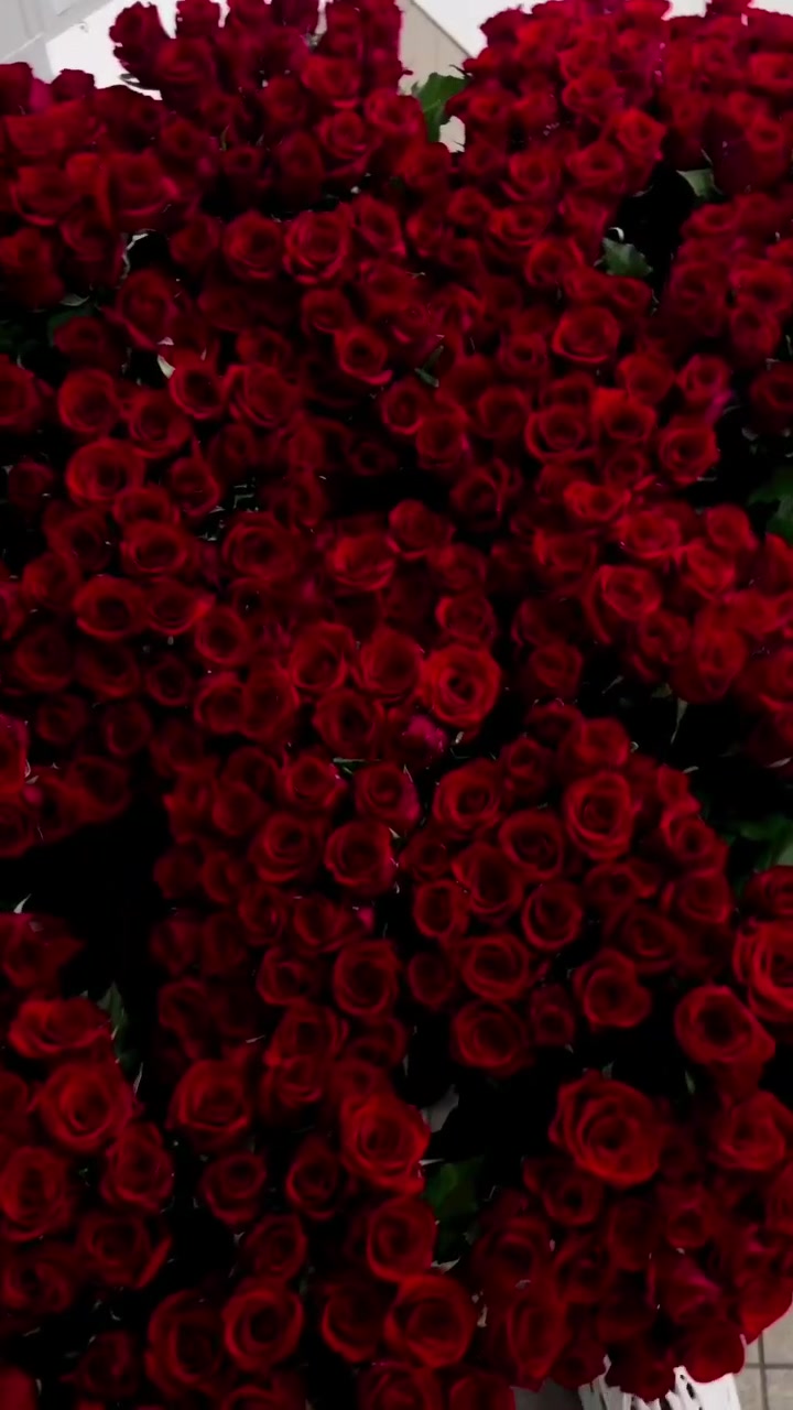 @𝒍𝒊𝒗𝒊𝒏𝒈𝒉𝒂𝒓𝒅