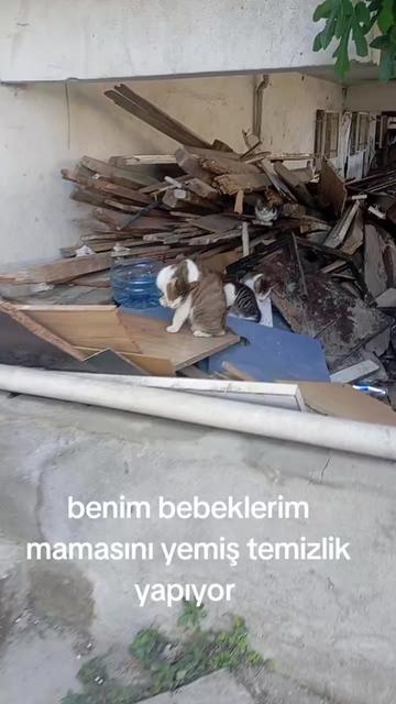 @Fatoşçırpan34