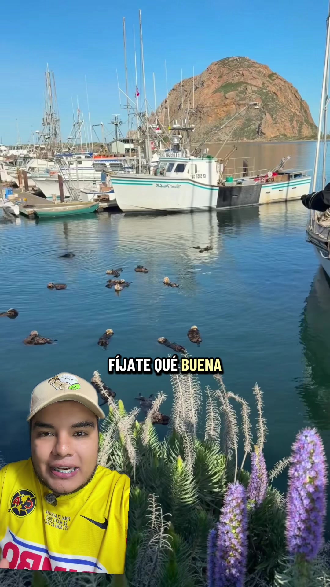 @Jair Herrera 🐆