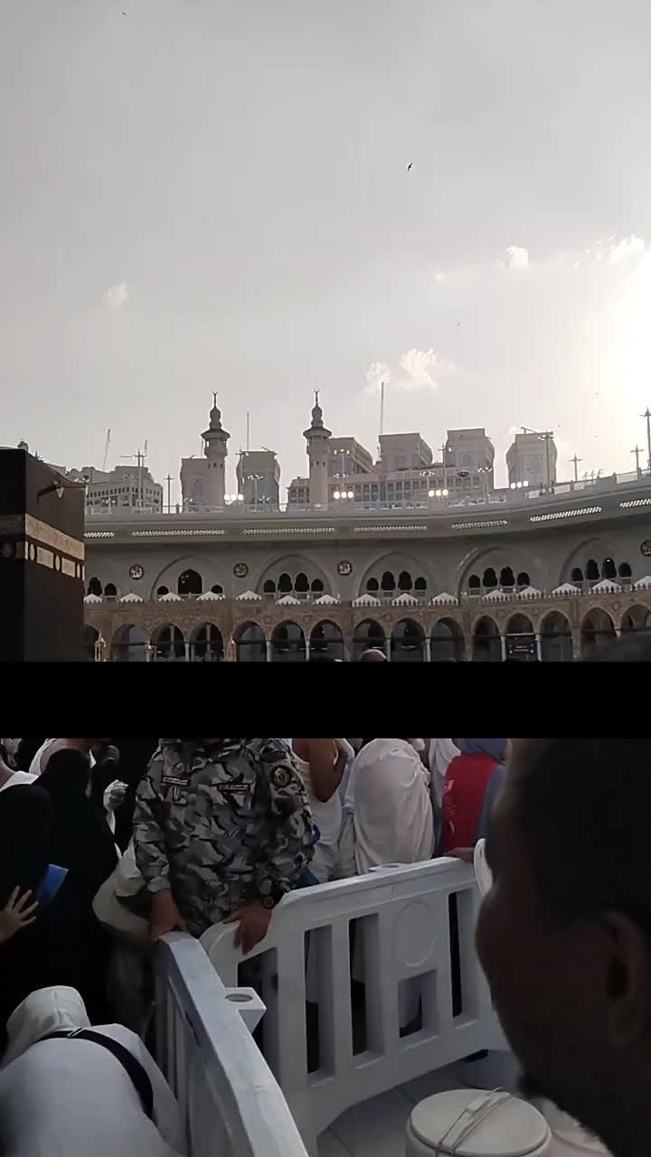 @ꪖꪶ꠸ ᥇ꪊꪻꪻ   على