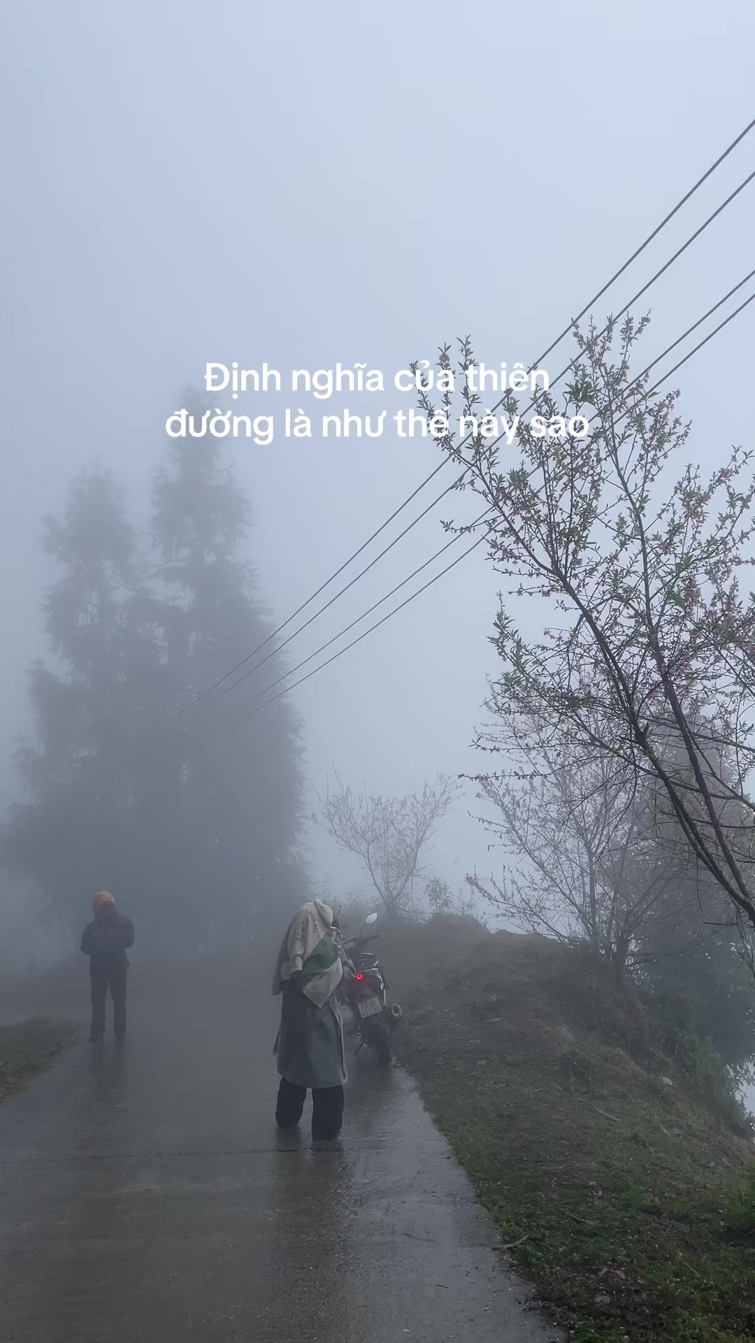 @Tu Phamm