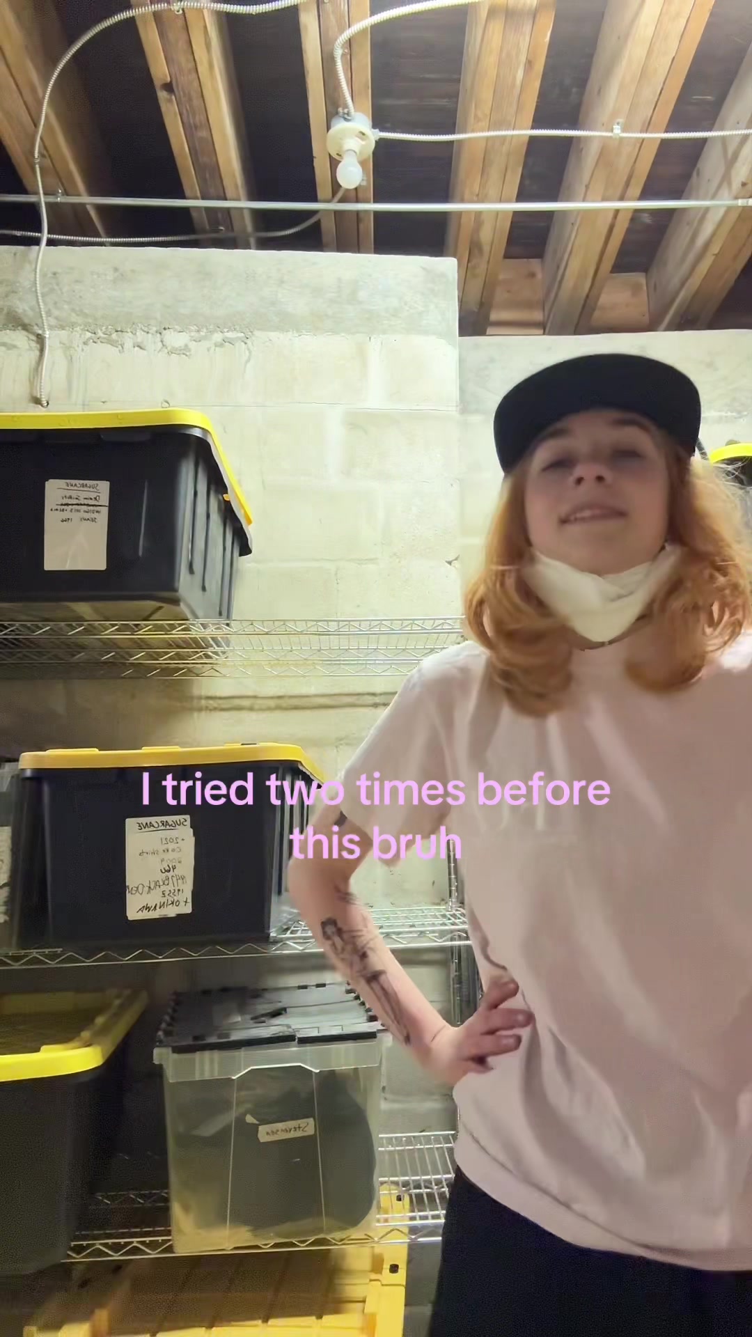 @carlie