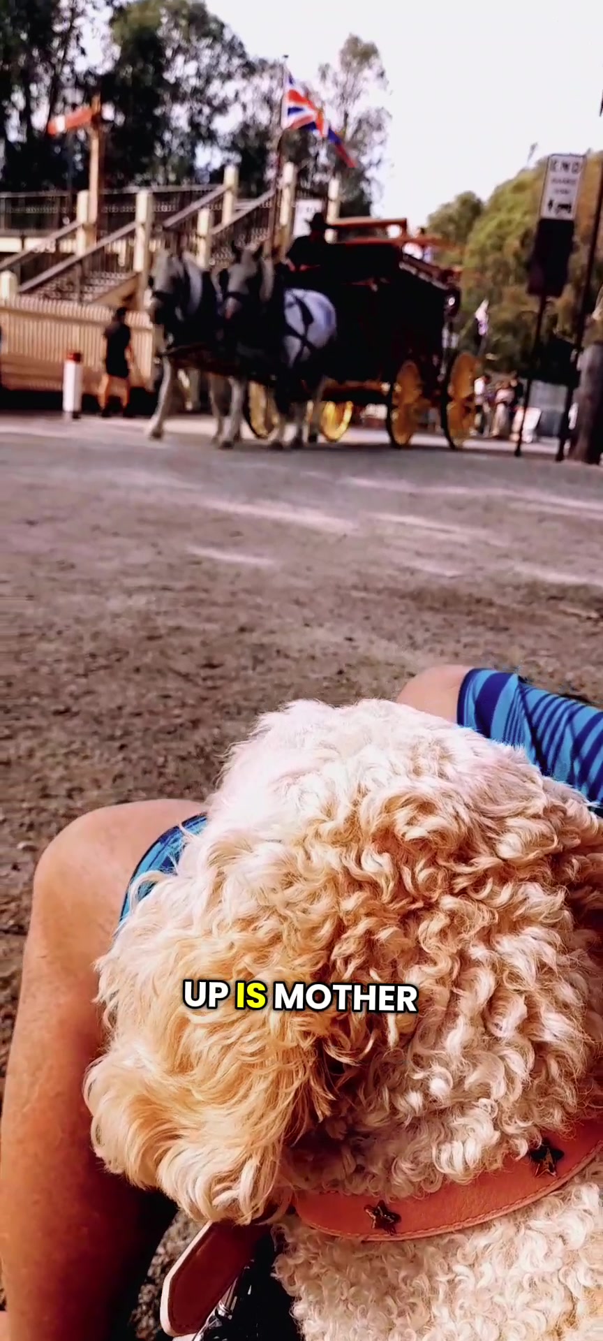 @💯Animals Are Furmily🐾🫶😇♥️