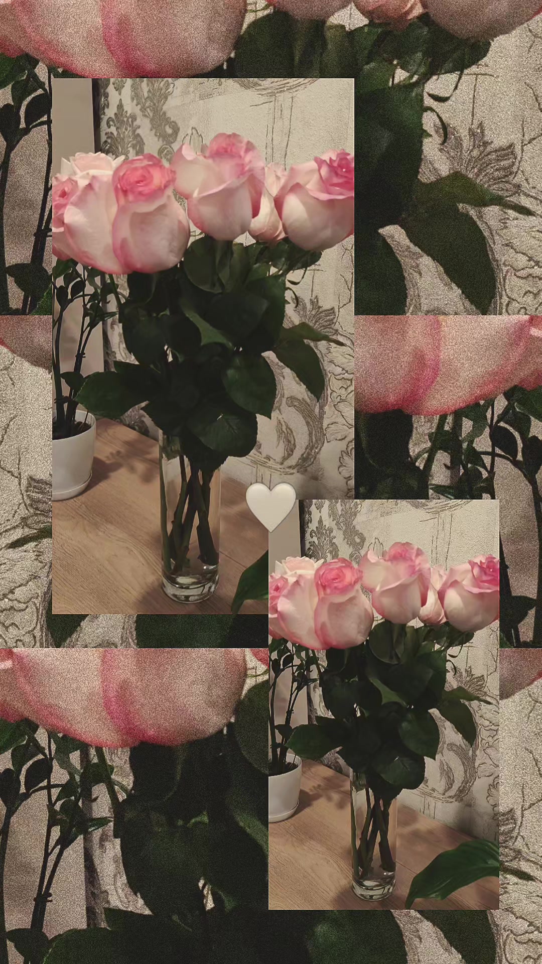 @🥀ꋬꋊꋬꇙ꓄ꋬꇙ꒐ꋬ🥀