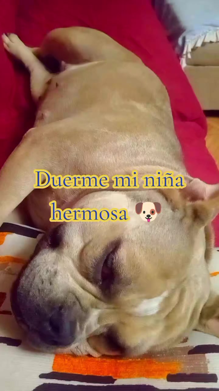 @@Sarahi29