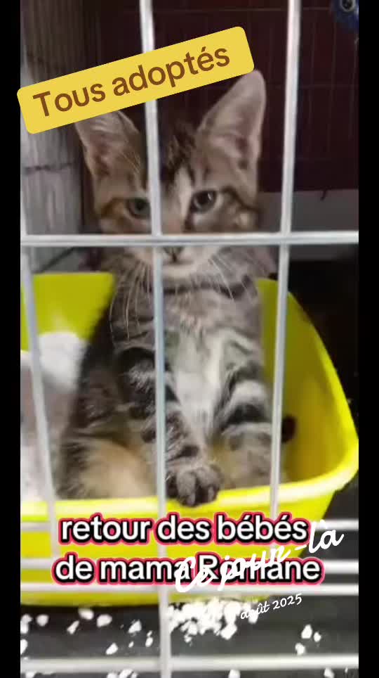 @chatvabien67