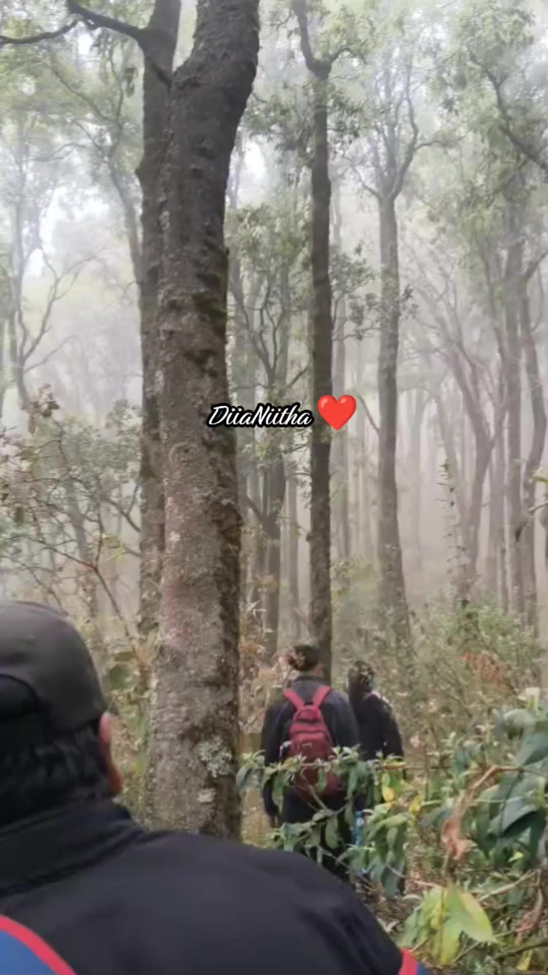 @DiiaNiitha🍀