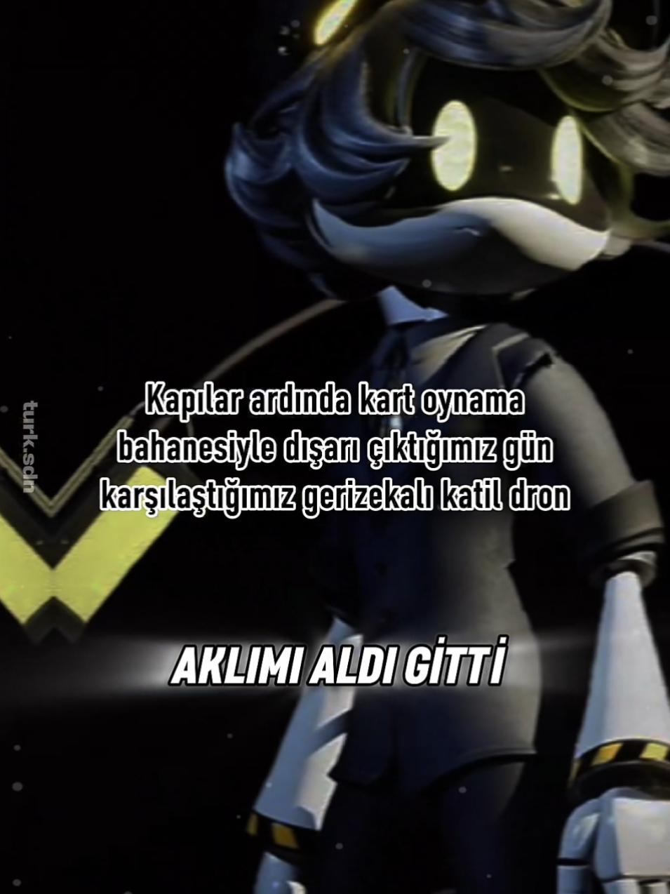 @T&uuml;rk SDN