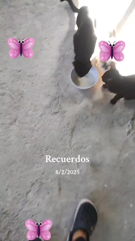 @Maria Arzola