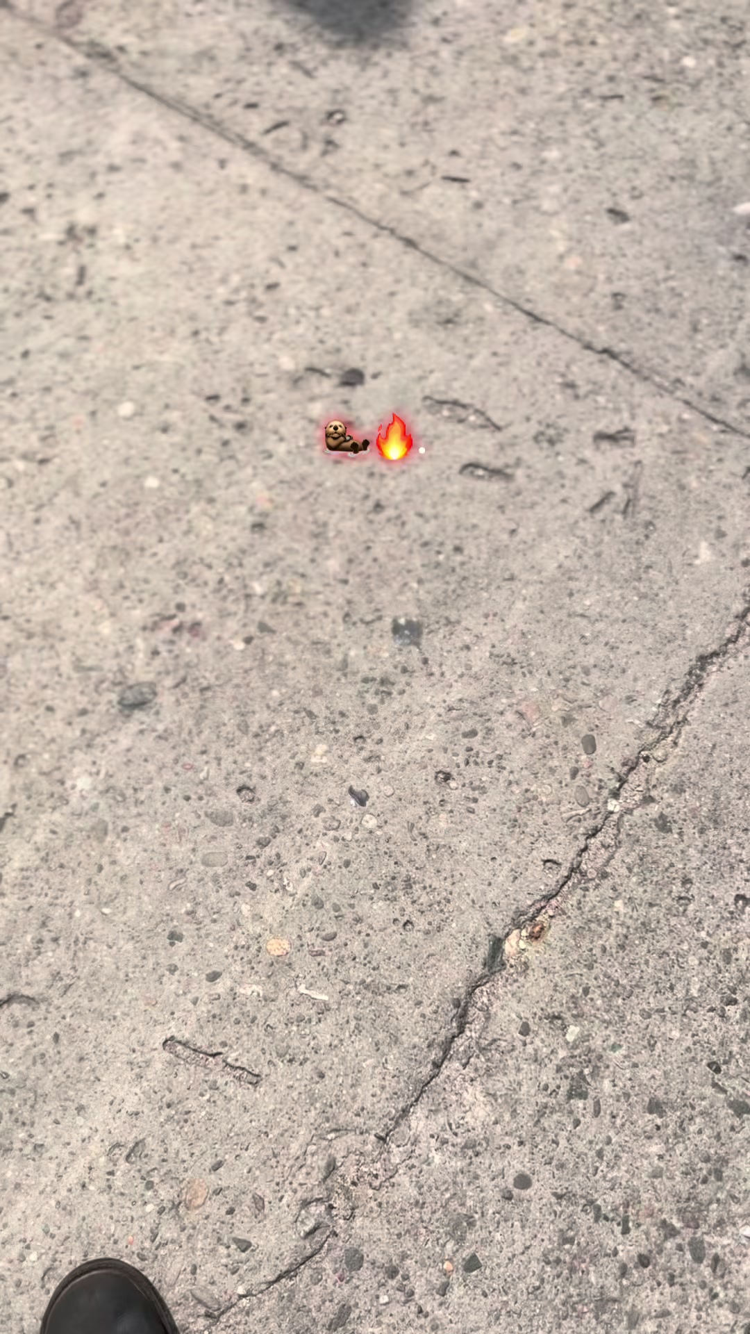 @𝕵𝖆𝖈𝖔🦦!