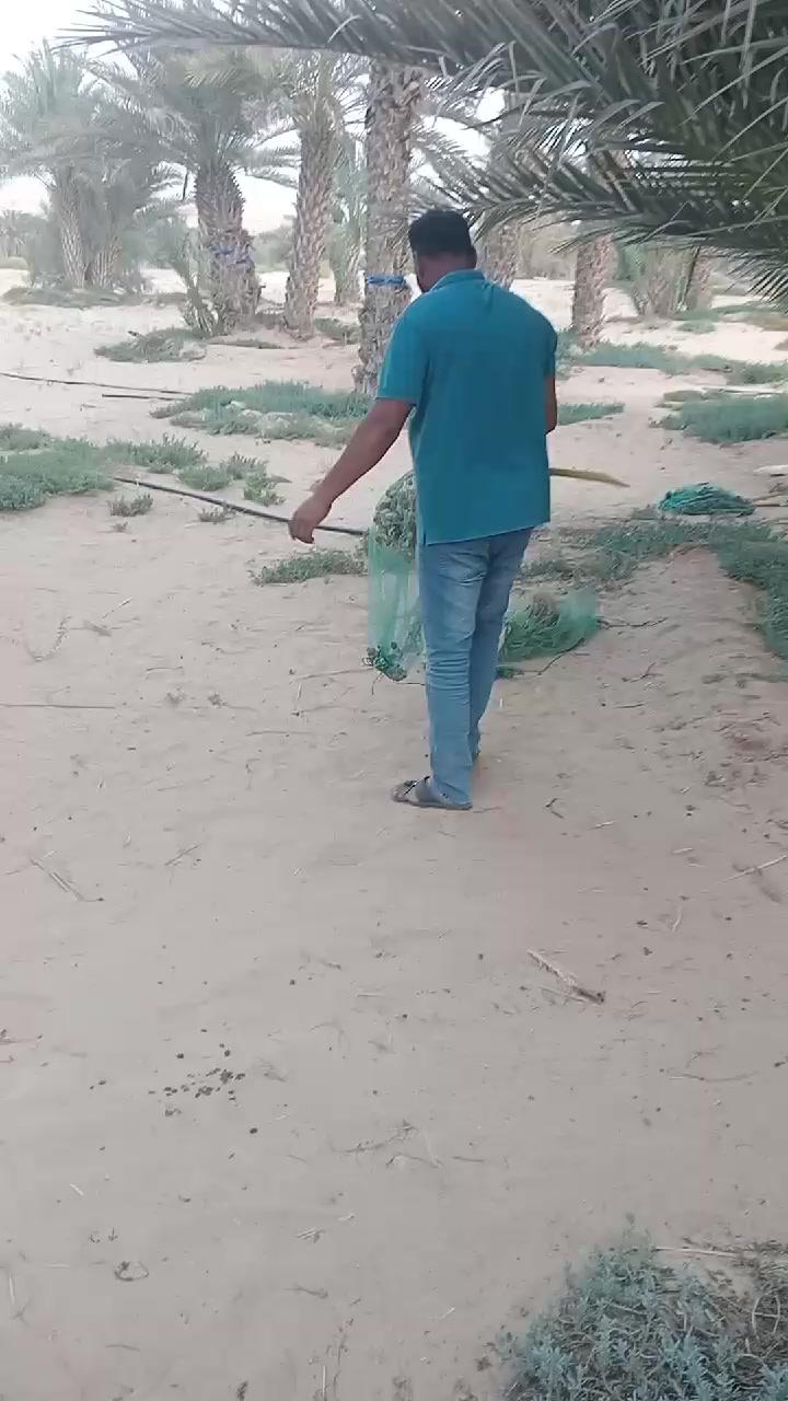 @ansar khadar