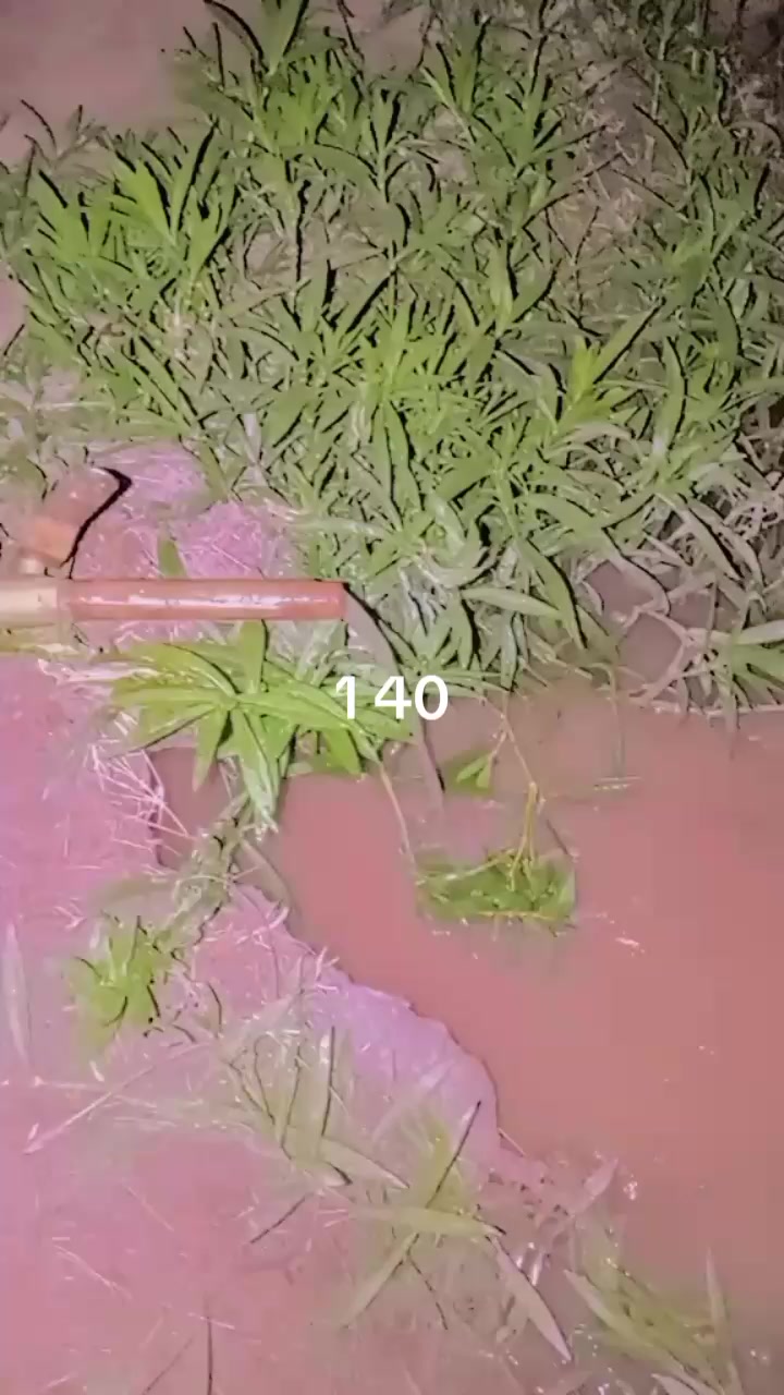 @𝕄𝕒𝕝𝕚𝕜 ℕ𝕒𝕤𝕚𝕣𝕂𝕙𝕒𝕟𝕕