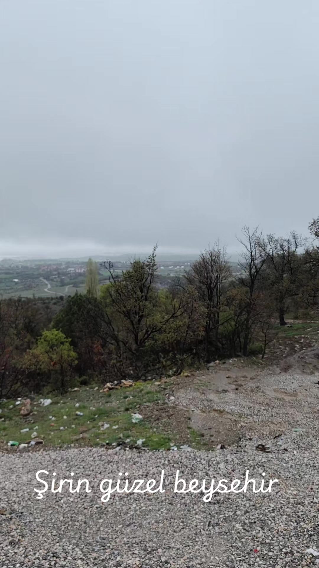 @Beyşehirlibalıkcı42