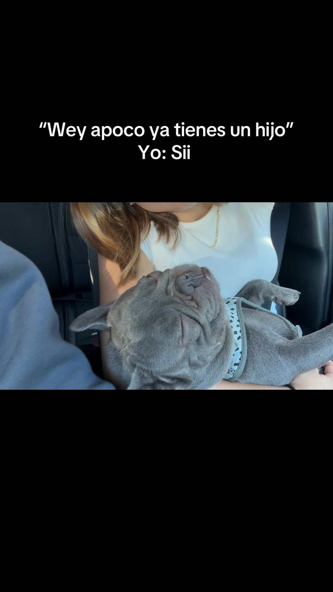 @STEPH