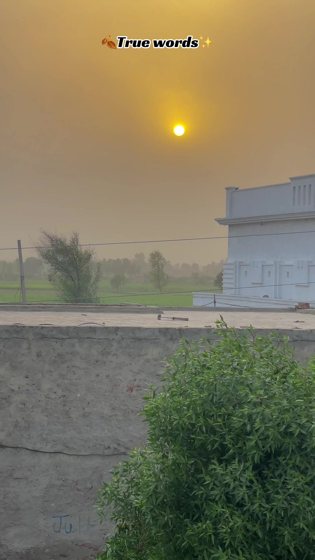 @🥀مٹی پنجاب دی🥀
