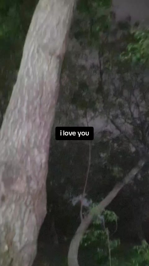 @Safa