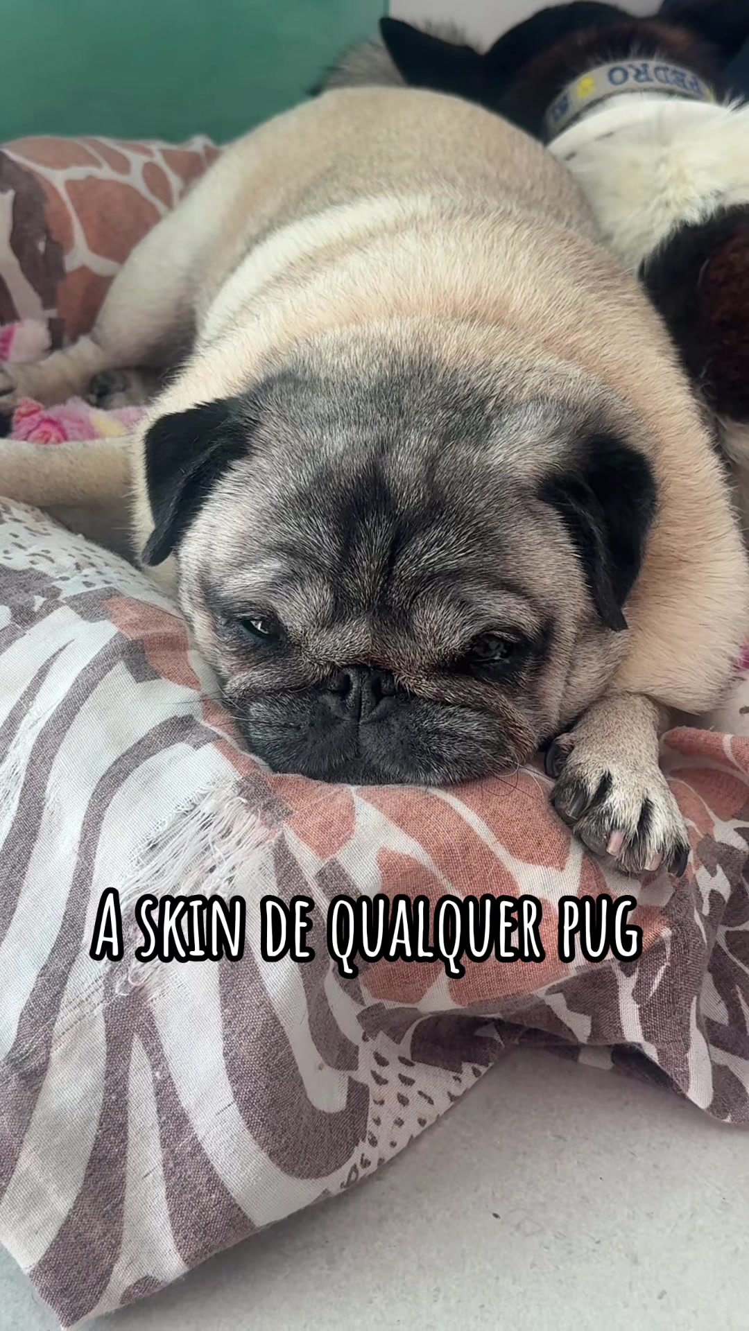 @Mari Aquarela UGC CREATOR
