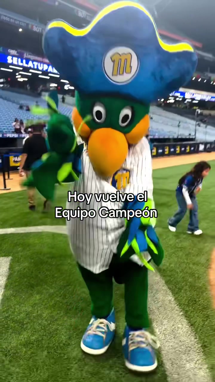 @franyer_magallanes