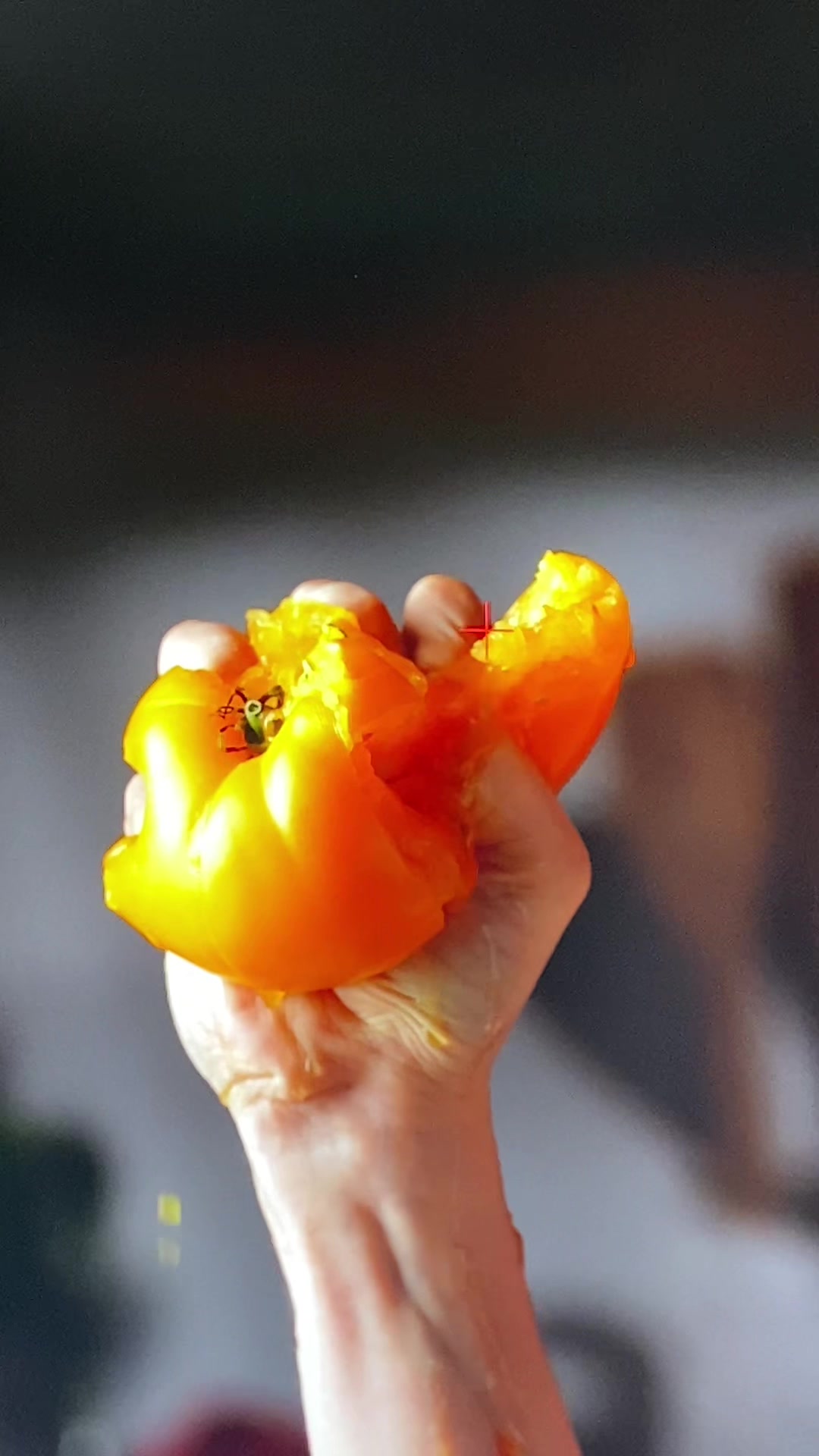 @Food Studio Photos + Videos