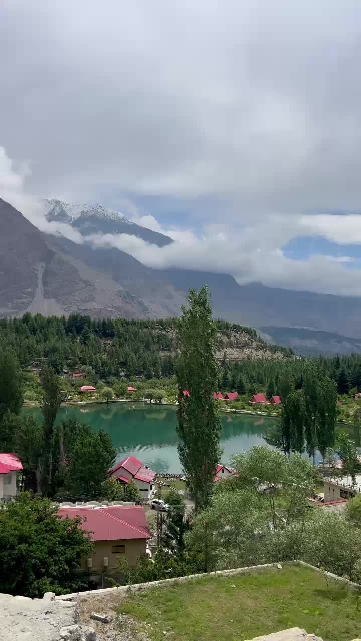 @moazam ali 4691