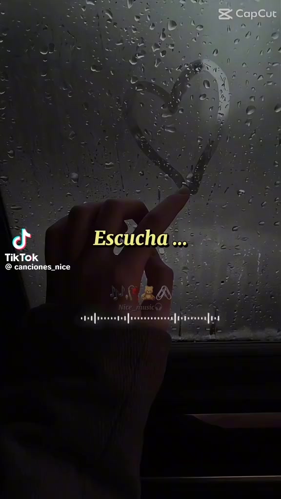@erikabravo258