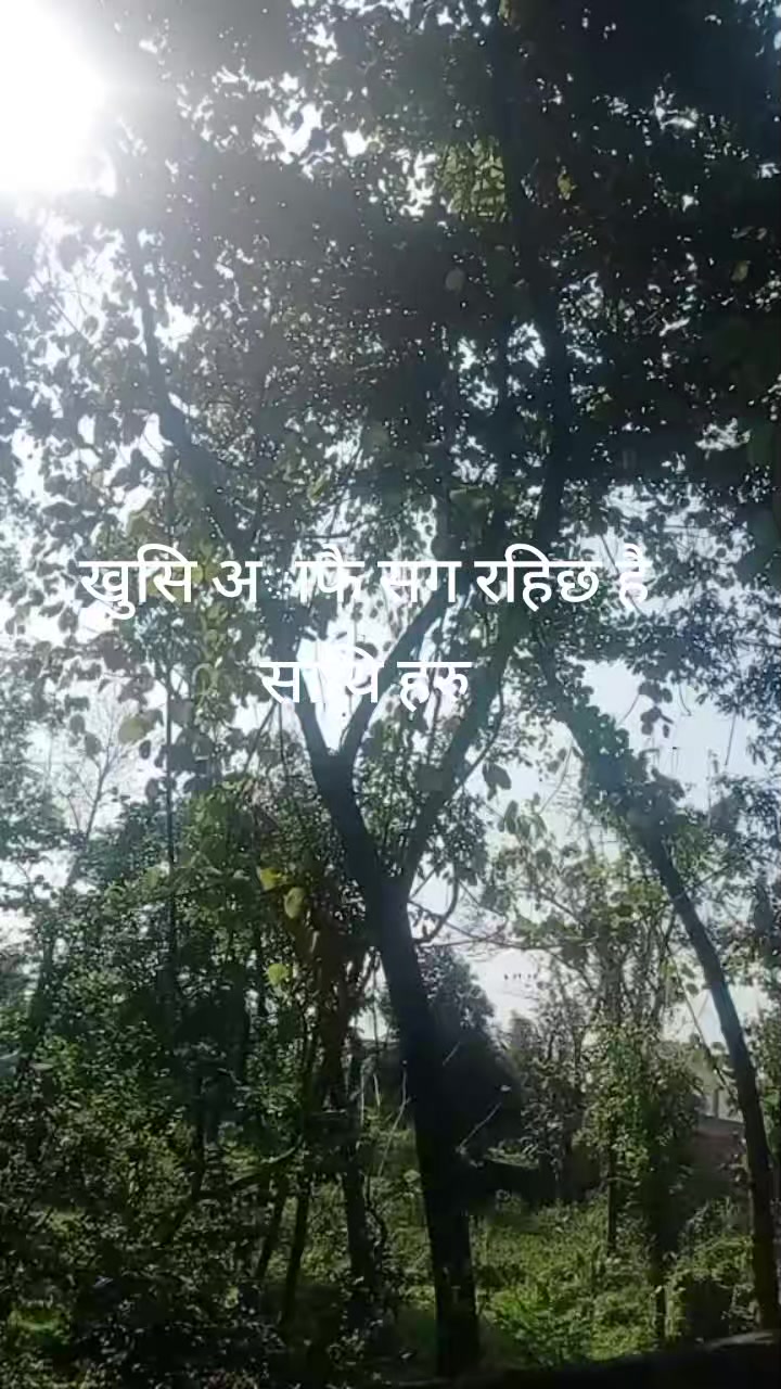 @Sushila🖤
