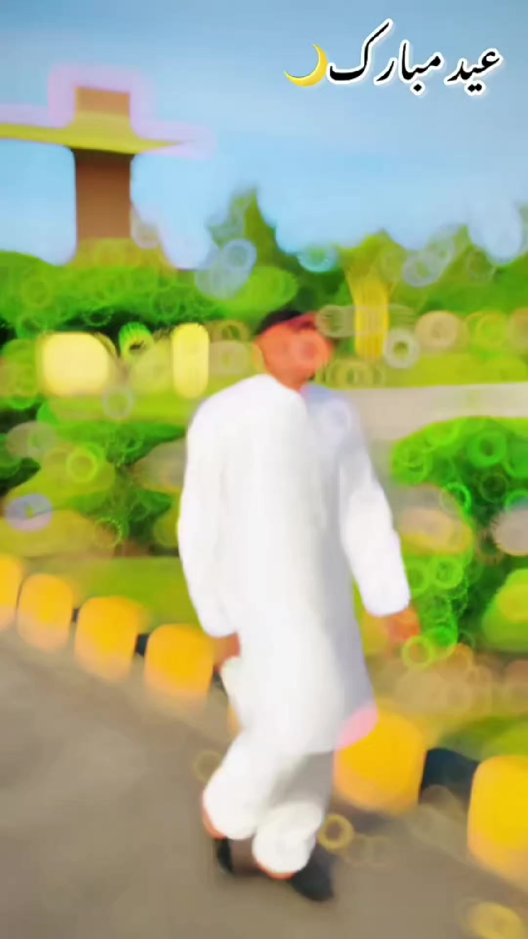 @bakir 482