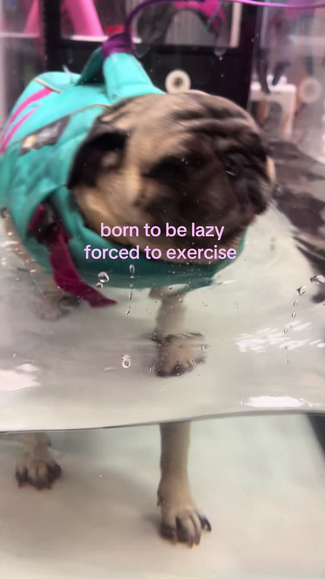 @e l l a 😽🦿