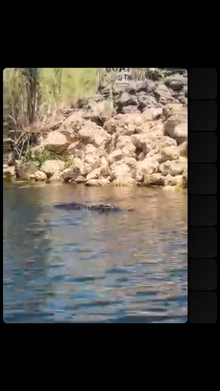 @eL GringoZolano&trade;️❌⚒️