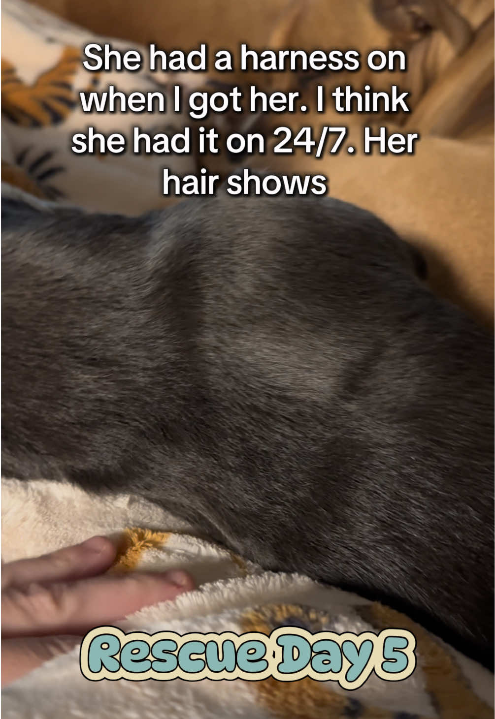 @Jordan & Amos 🐾