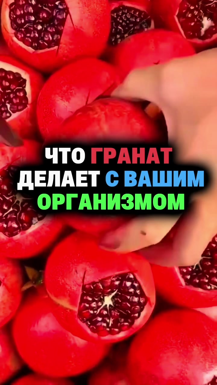 @FoodFackt